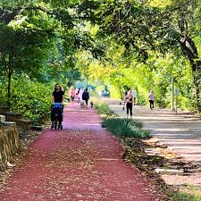 People walk along a tree-lined path in a park on a sunny day; some push strollers and others walk dogs.
